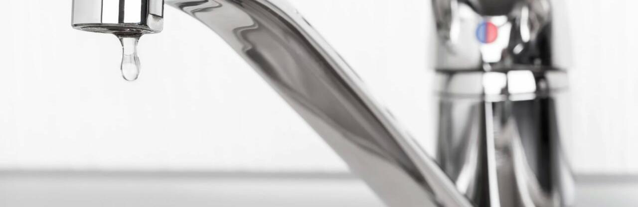  �������� �������� ������ ���� 