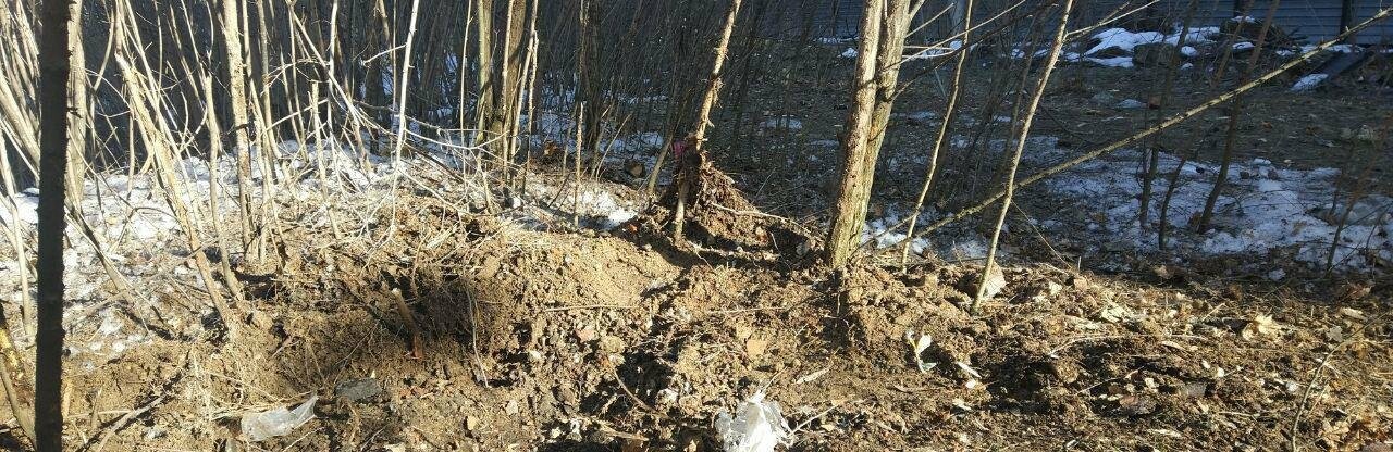  ��������� ���� ������ ������ ������� 