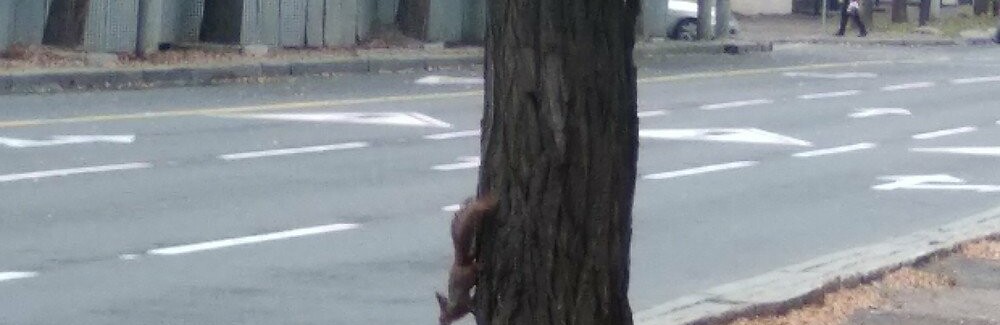  ������ ������� ��������� ����� ���� 