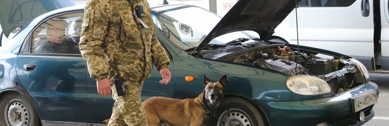  ���� �������� ���������� ������ ������ �������� ������� �������� 