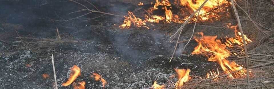  �������� ���������� ���������� ������� �������� ������ ����� ���� 