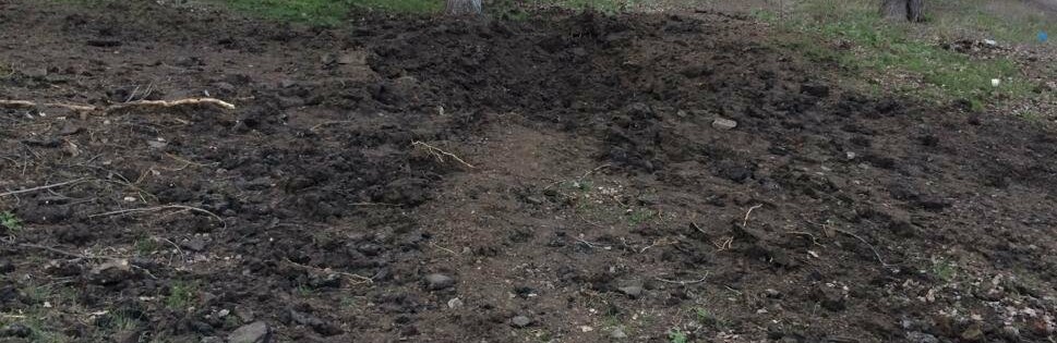  �������� ���� ���������� ���������� ����������� ���������� ������ ����������� 