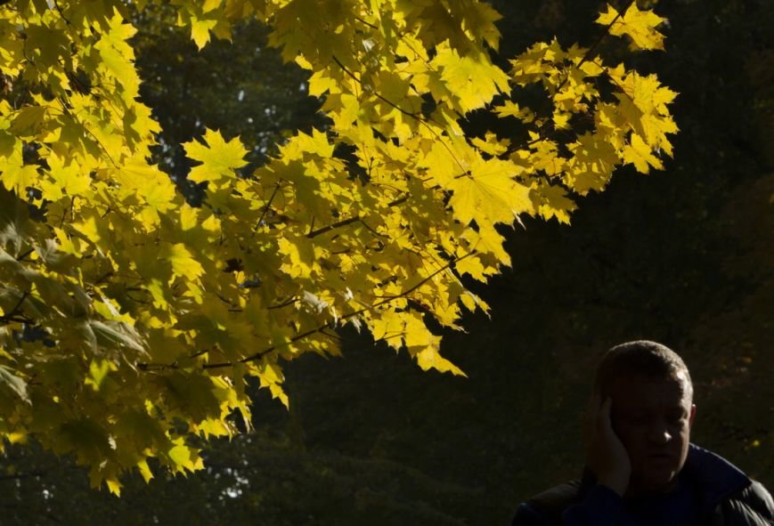 IMG_9208_новый размер