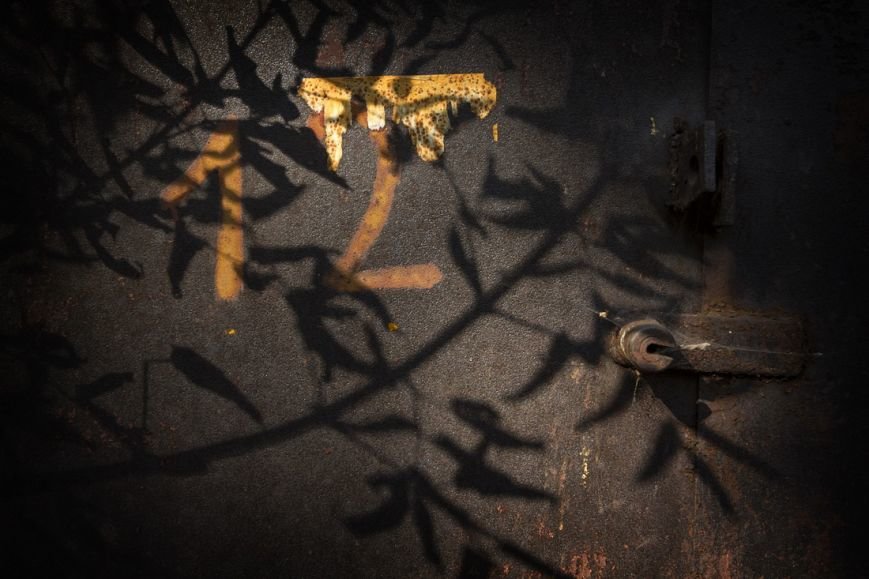 IMG_9121_новый размер