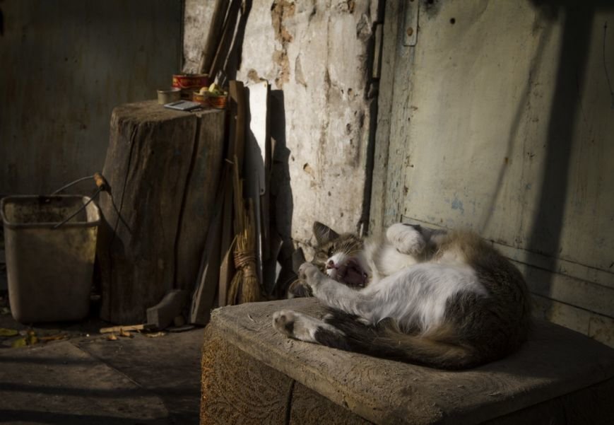 IMG_9139_новый размер