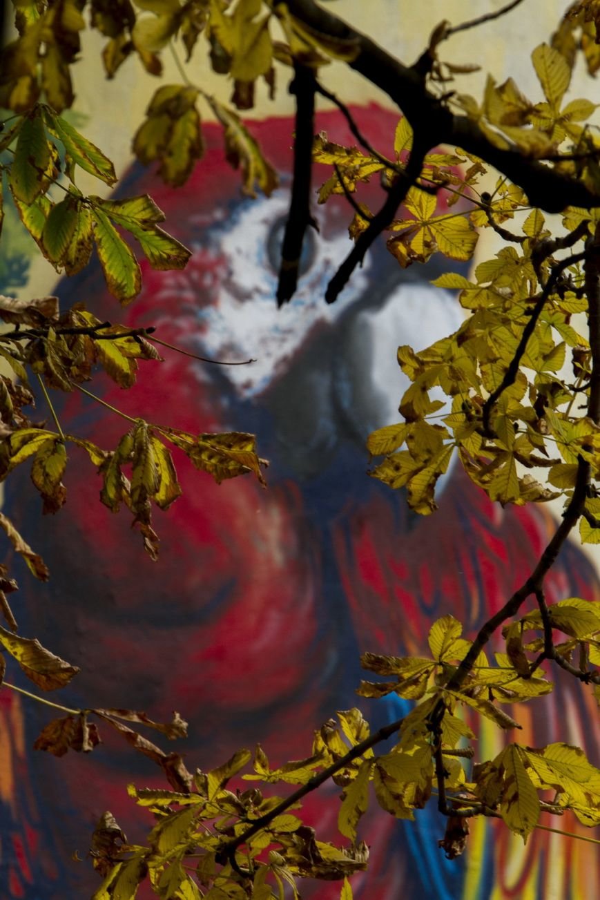 IMG_9271_новый размер