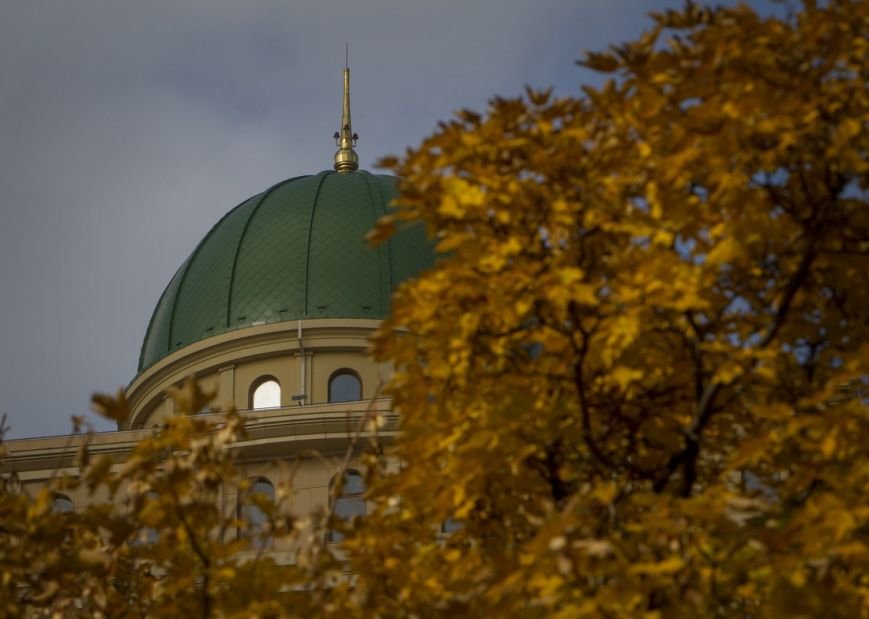 IMG_9268_новый размер