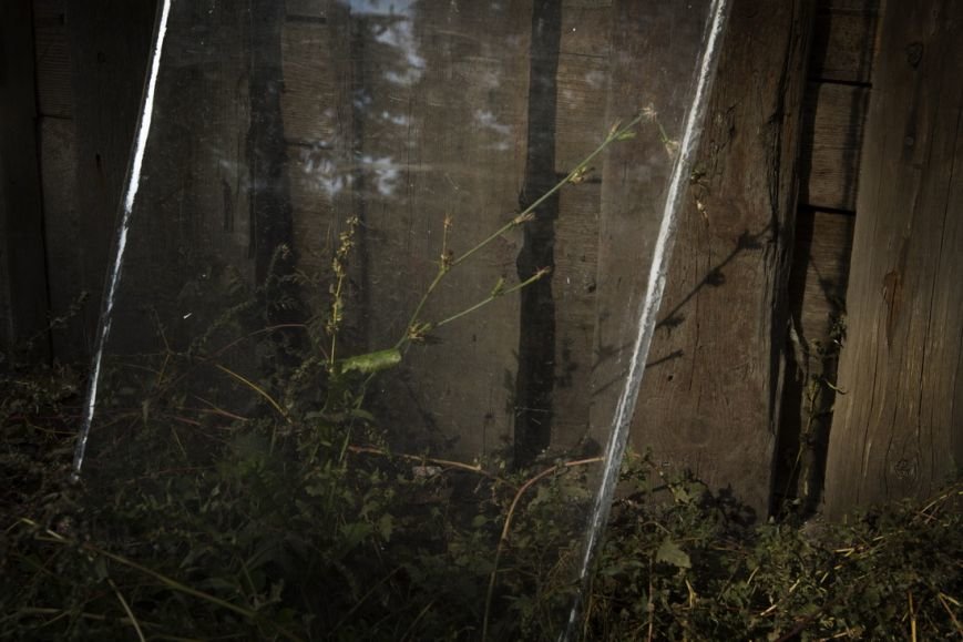 IMG_9132_новый размер