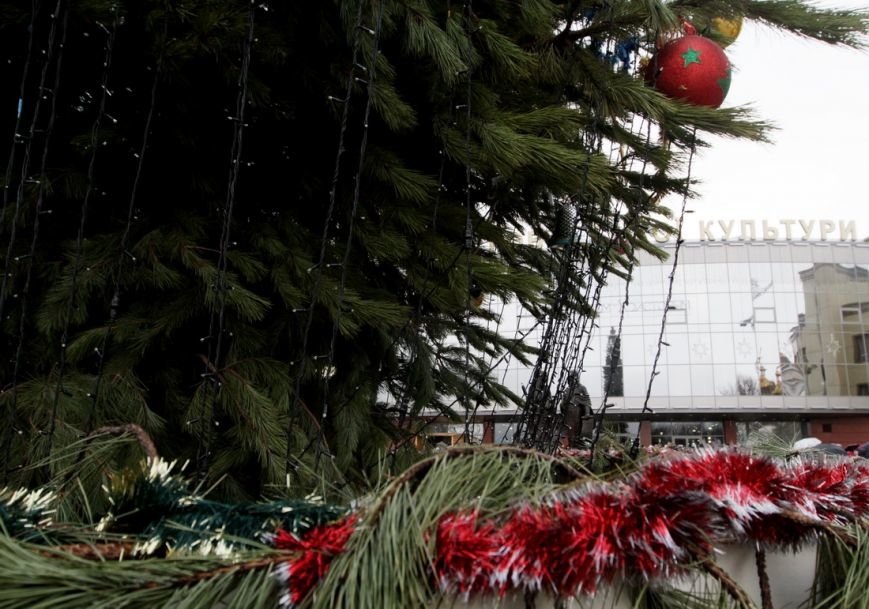 IMG_0499_новый размер