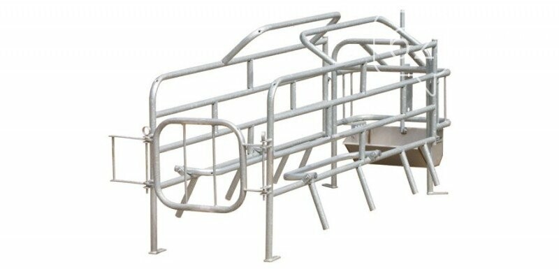 станки для опороса свиноматок. станок для подсосных свиноматок осм 60. станок осм-60-1 для свиноматок. станки для опороса делаваль. станки для опороса свиноматок.