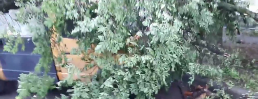 В Донецке во время урагана дерево упало на автобус (ВИДЕО) - 62.ua