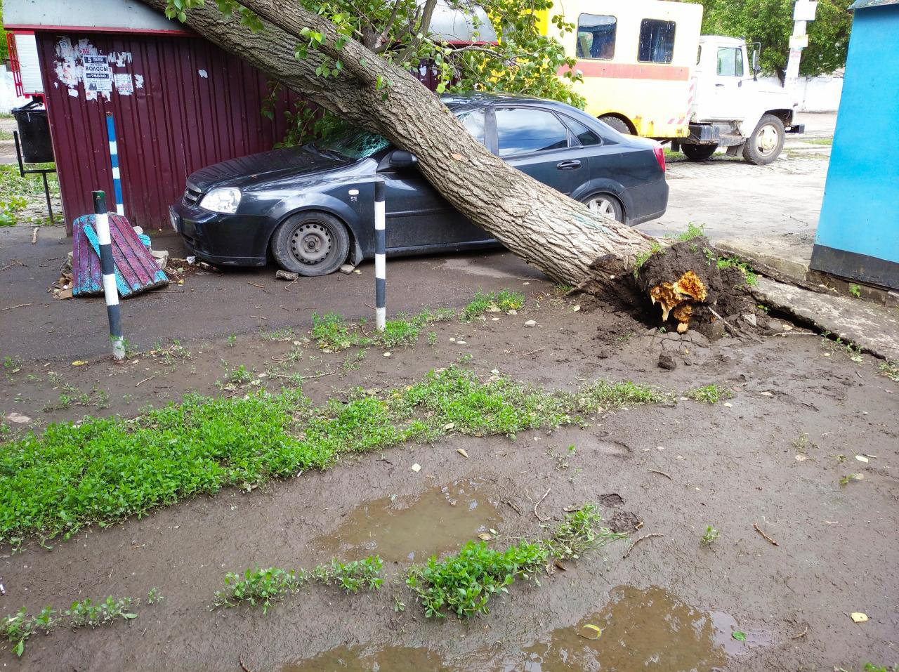 Дерево упало на автомобиль