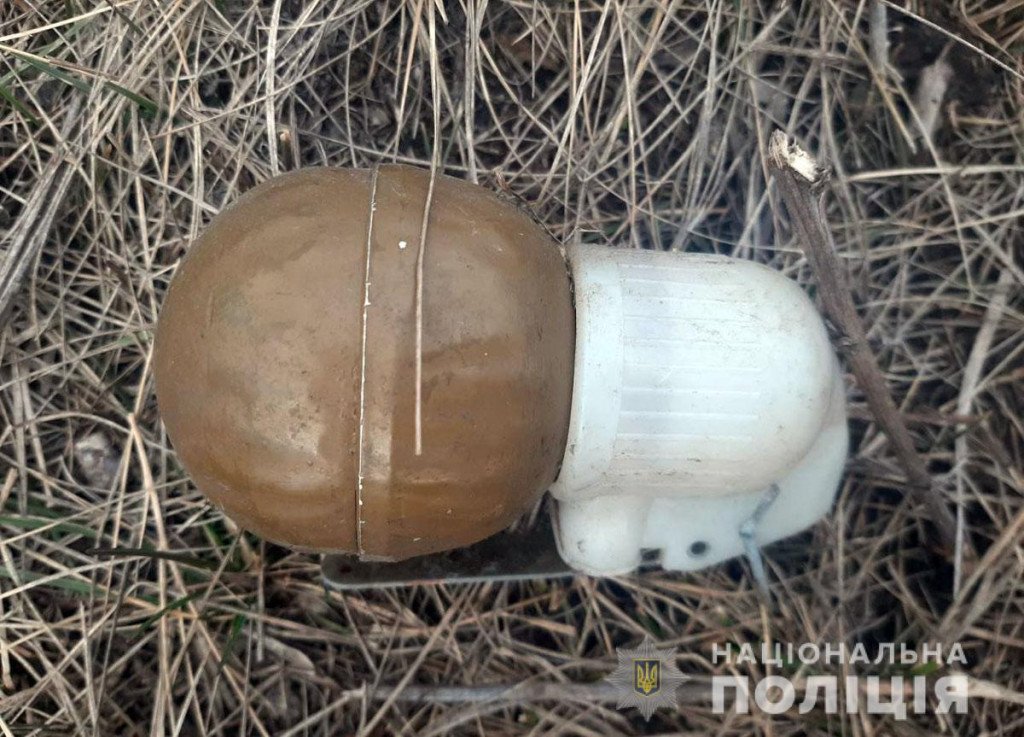 В Донецкой области дети на спортивной площадке нашли гранату, - ФОТО, фото-3