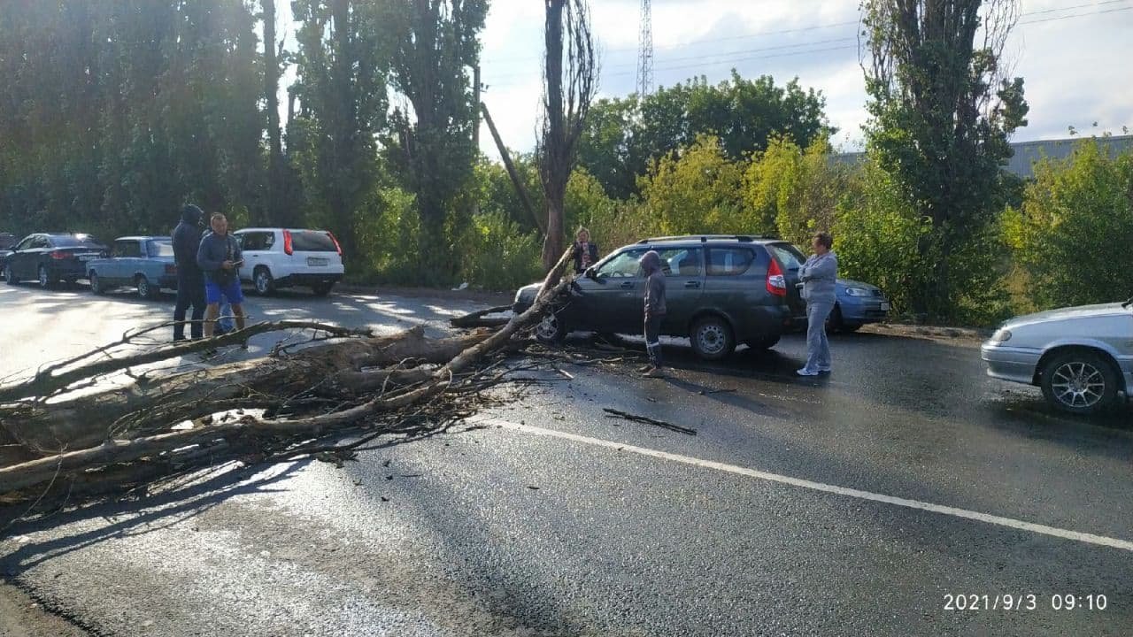 На незаконном КПП в Россию из ОРДО на авто упало дерево, - ФОТО, фото-2