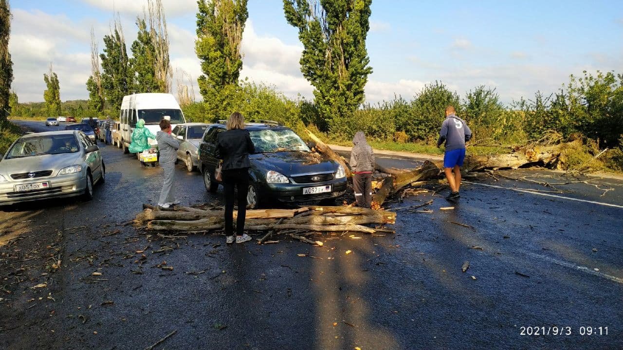 На незаконном КПП в Россию из ОРДО на авто упало дерево, - ФОТО, фото-3