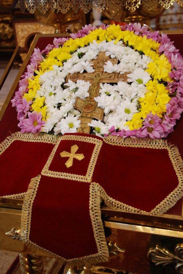 299482_472803522759283_795829785_n