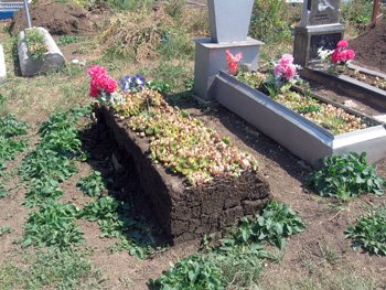 marinka_mogili3