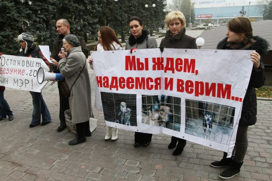 IMG_3391_новый размер