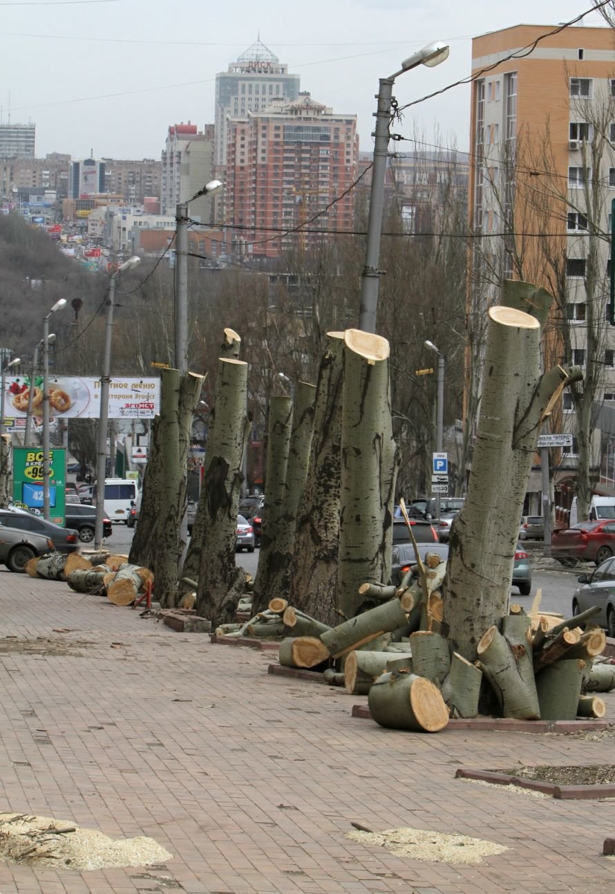 IMG_2201_новый размер