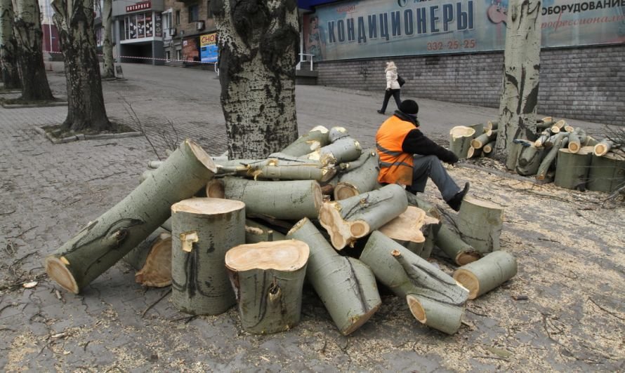 IMG_2196_новый размер