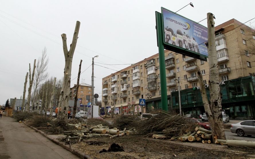 IMG_2242_новый размер