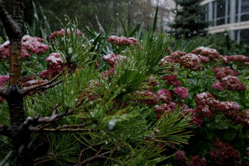 IMG_6923_новый размер