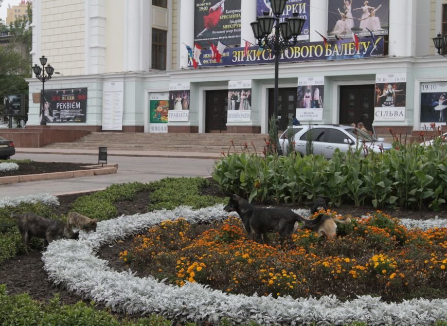 IMG_8573_новый размер