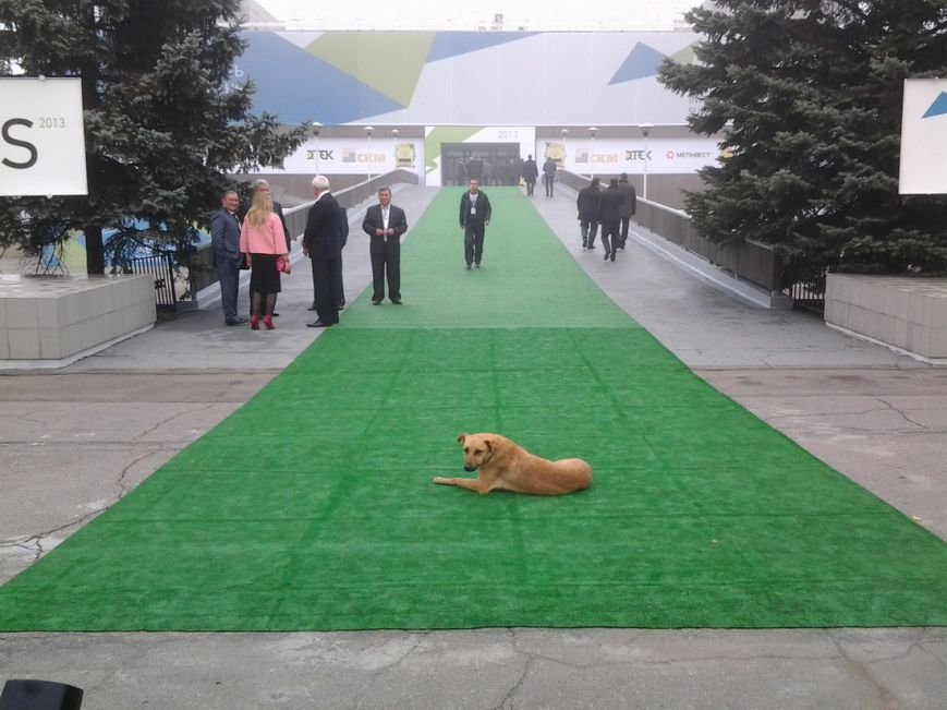 20131017_101234_новый размер 20131017_101234_новый размер