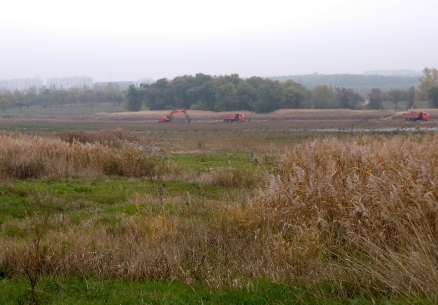 DSCN4120_новый размер