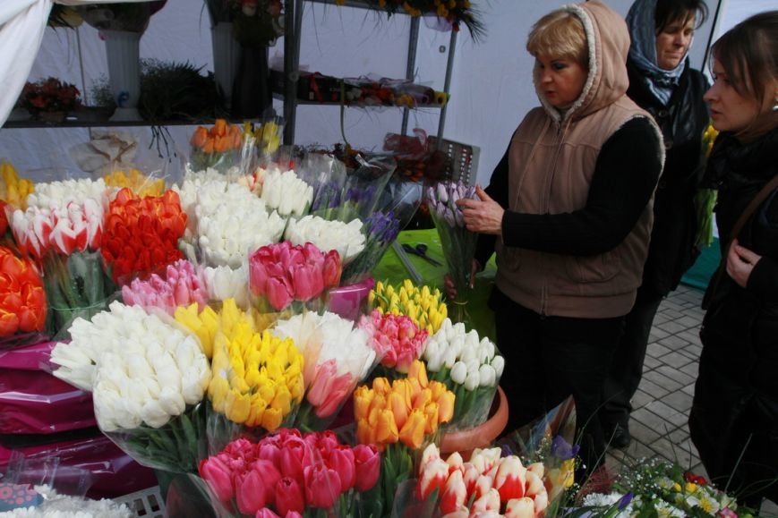 IMG_2845_новый размер IMG_2845_новый размер