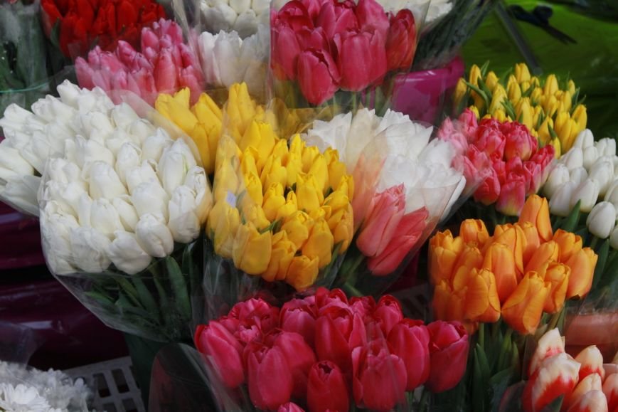 IMG_2844_новый размер IMG_2844_новый размер