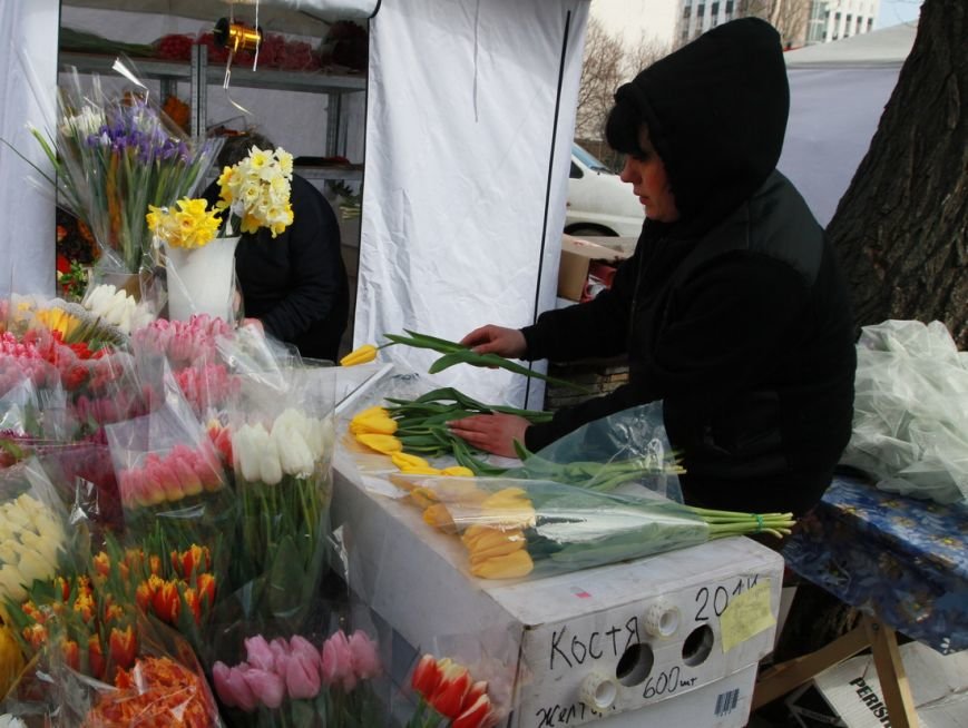 IMG_2843_новый размер IMG_2843_новый размер