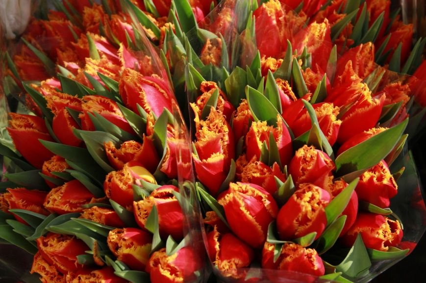 IMG_2848_новый размер IMG_2848_новый размер