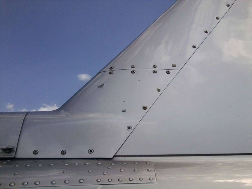 10363717_873129699379566_6037263063639836348_n